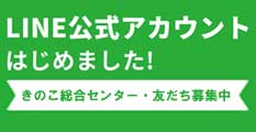 友だち追加